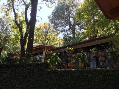 Jardín al aire libre en Refugio en el bosque de agua en Cuernavaca