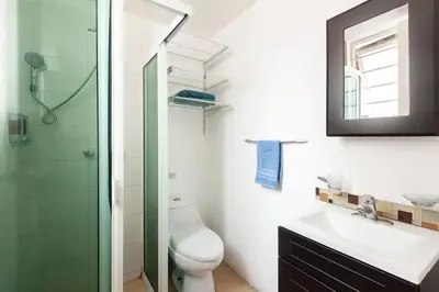 Un baño de Cozy & Full Apt in Coyoacan Great for Long Stays