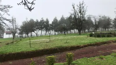 Jardín al aire libre en Cabañas Huerta la Mision, Zacatlán