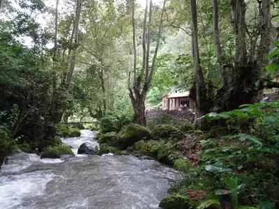 Paisaje cerca de este lodge
