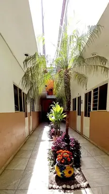 Jardín al aire libre en Hotel Anturio