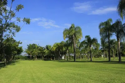 Paisaje cerca de este hotel