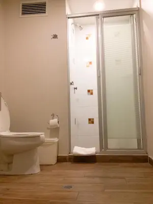 Un baño de Plaza Poblana