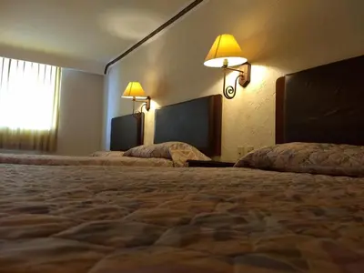 Cama o camas de una habitación en Hotel Acuario de Veracruz