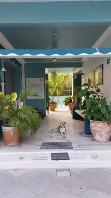 Jardín al aire libre en Delphinus Inn