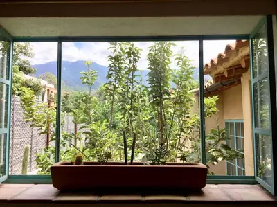 Jardín al aire libre en El Pocito Quiet Bungalow