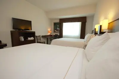 Cama o camas de una habitación en Holiday Inn Express Tuxtla Gutierrez La Marimba by IHG