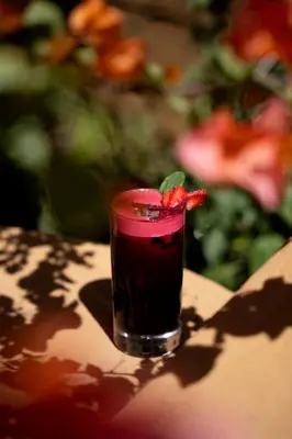 Bebidas en Mision del Sol Resort & Spa Adults Only