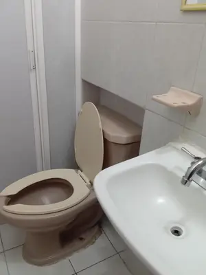 Un baño de La Sirenita