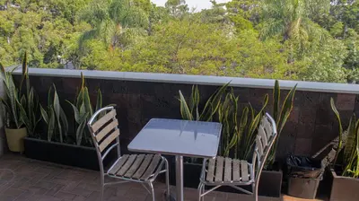 Jardín al aire libre en Suites Las Plazas