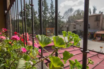 Jardín al aire libre en Hotel Canaria