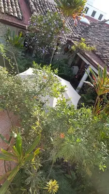 Jardín al aire libre en Posada Galeria Alberto Sedas