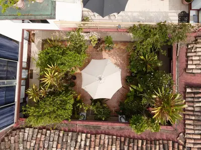 Jardín al aire libre en Posada Galeria Alberto Sedas