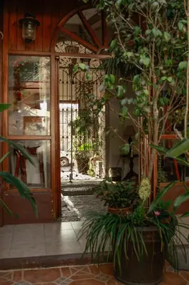 Jardín al aire libre en Posada Galeria Alberto Sedas