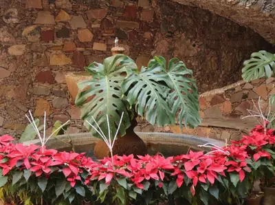 Jardín al aire libre en Hotel los Arcos