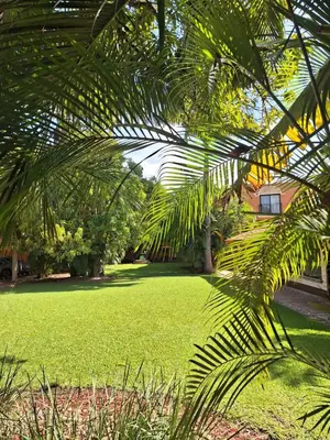 Jardín al aire libre en Hotel Palmareca