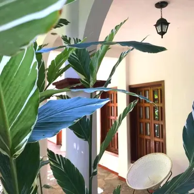 Plano de Hotel La Ceiba