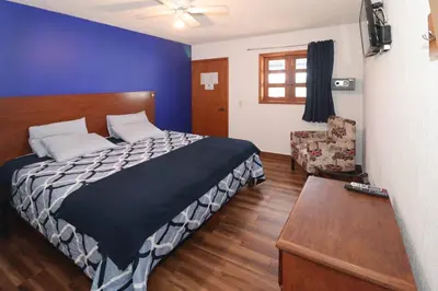 Cama o camas de una habitación en Hotel Casa Frida