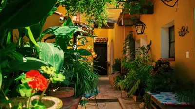 Jardín al aire libre en Hotel Las Golondrinas