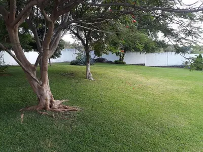 Paisaje cerca de esta casa o chalet