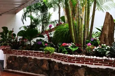 Jardín al aire libre en Hotel Rinconada de Cortes
