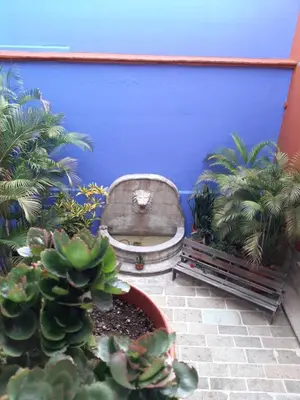 Jardín al aire libre en Casa de Siete Balcones Hotel Boutique