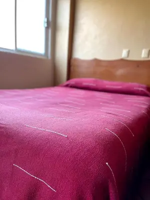 Cama o camas de una habitación en HOTEL BUGAMBILIAS