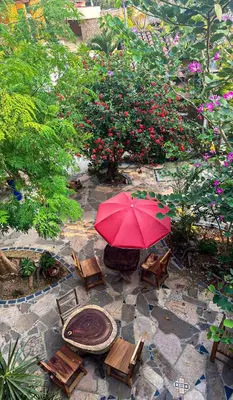 Jardín al aire libre en Posada Aketzalli Mazunte