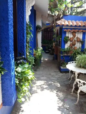 Plano de Casa de la Alameda