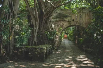 Jardín al aire libre en Hacienda San Gabriel de las Palmas