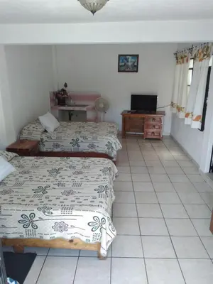 Cama o camas de una habitación en Hotel Las Palomas