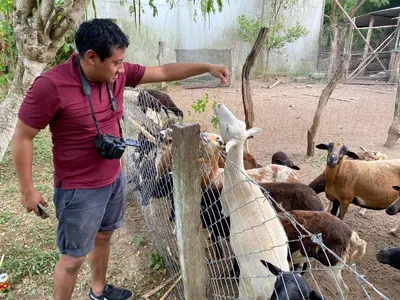 Animales en el lodge o alrededores