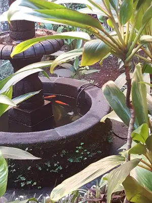 Jardín al aire libre en Hotel Posada San Jerónimo