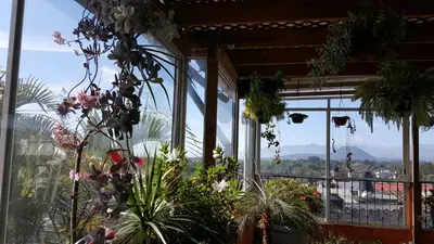 Jardín al aire libre en Hotel Posada San Jerónimo