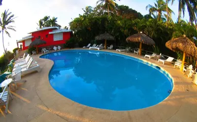Piscina en o cerca de Hotel Flamingos