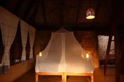 Cama o camas de una habitación en LA LOMA LINDA, Bungalows, Yoga and Feldenkrais, STARLINK INTERNET