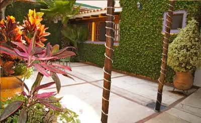 Jardín al aire libre en Suites Colibri