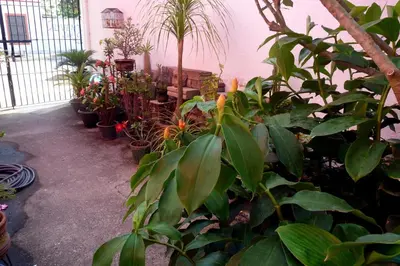 Jardín al aire libre en Casa de la Luz - Studio Apartment