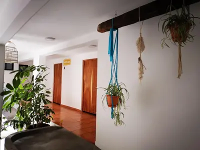 Una televisión o centro de entretenimiento en Santa Josefita