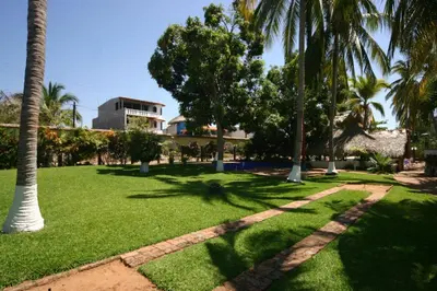 Jardín al aire libre en Hotel Albatros