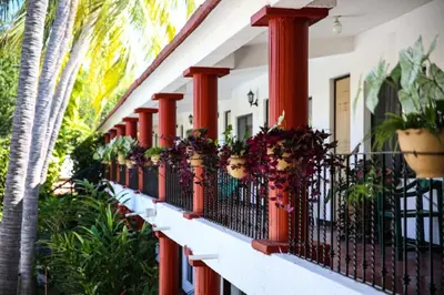 Jardín al aire libre en Hotel Albatros