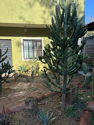 Jardín al aire libre en Tu casa Oaxaca...