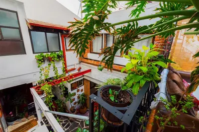 Jardín al aire libre en Hostal México Airport CDMX