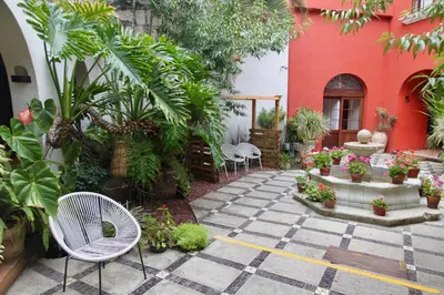 Jardín al aire libre en Hotel Trébol