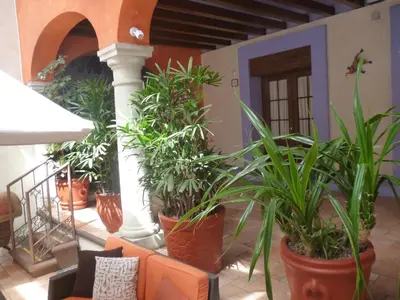 Jardín al aire libre en Hotel Trébol