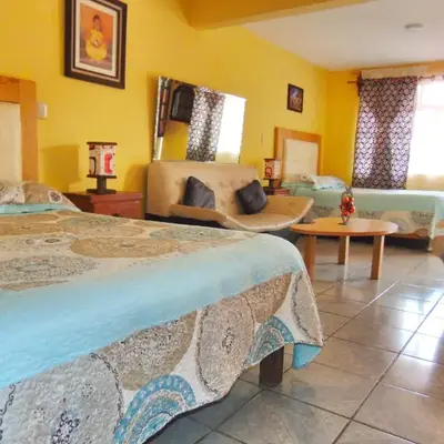 BONITO y AMPLIO DEPARTAMENTO con JARDÍN 