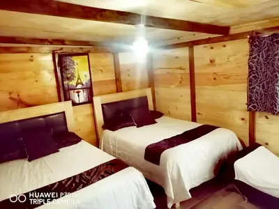 Cama o camas de una habitación en CABAÑA tipo habitación con PALAPA y Asador Planta Alta en Zacatlán