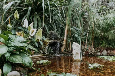 Jardín al aire libre en Hotel boutique Teocalli