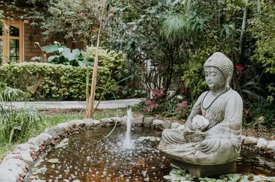 Jardín al aire libre en Hotel boutique Teocalli