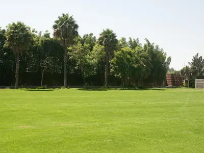 Jardín al aire libre en Hotel Camino del Bosque Atlixco